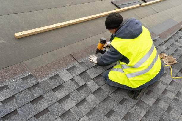 Best Sheet Metal Roofing  in Ettrick, VA