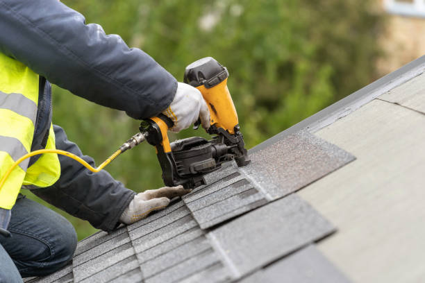 Best Metal Roofing Installation  in Ettrick, VA