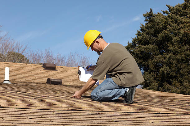 Best Roof Moss and Algae Removal  in Ettrick, VA